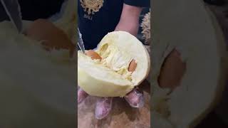 WOW TEBEL BANGET ‼️ DURIAN MONTONG #durian #durianmontong #duriantraveler #durianviral