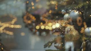 Free Video Clips And Footage - merry-go-round reflected, Christmas Tree screenshot 4
