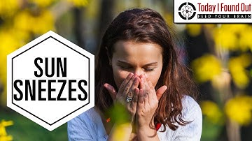 Why Does the Sun Make You Sneeze?