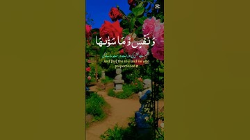 تلاوات القرآن الكريم 😌🤎........ #تلاوات_خاشعة #المصحف #سورة #الرحمن #القرآن_الكريم
