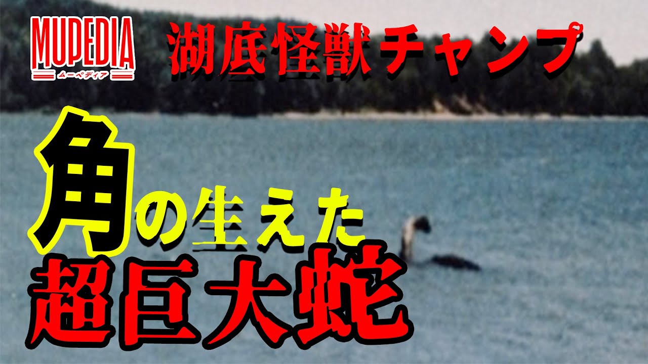 Umaの基礎知識 ネッシー型umaチャンプの正体は 北米の湖底怪獣を解説 ムー編集長 三上丈晴 Youtube Umaの基礎知識 ネッシー型umaチャンプの正体は 北米の湖底怪獣を解説 ムー編集長 三上丈晴 Youtube
