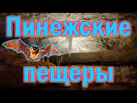 Пинежские Пещеры - 2022