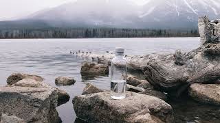 Avira Atik RCS Recycled PET bottle 1L