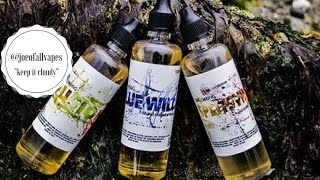 Dynamic Vapes Review For Dec, 2016 Joe Of All Vapes.