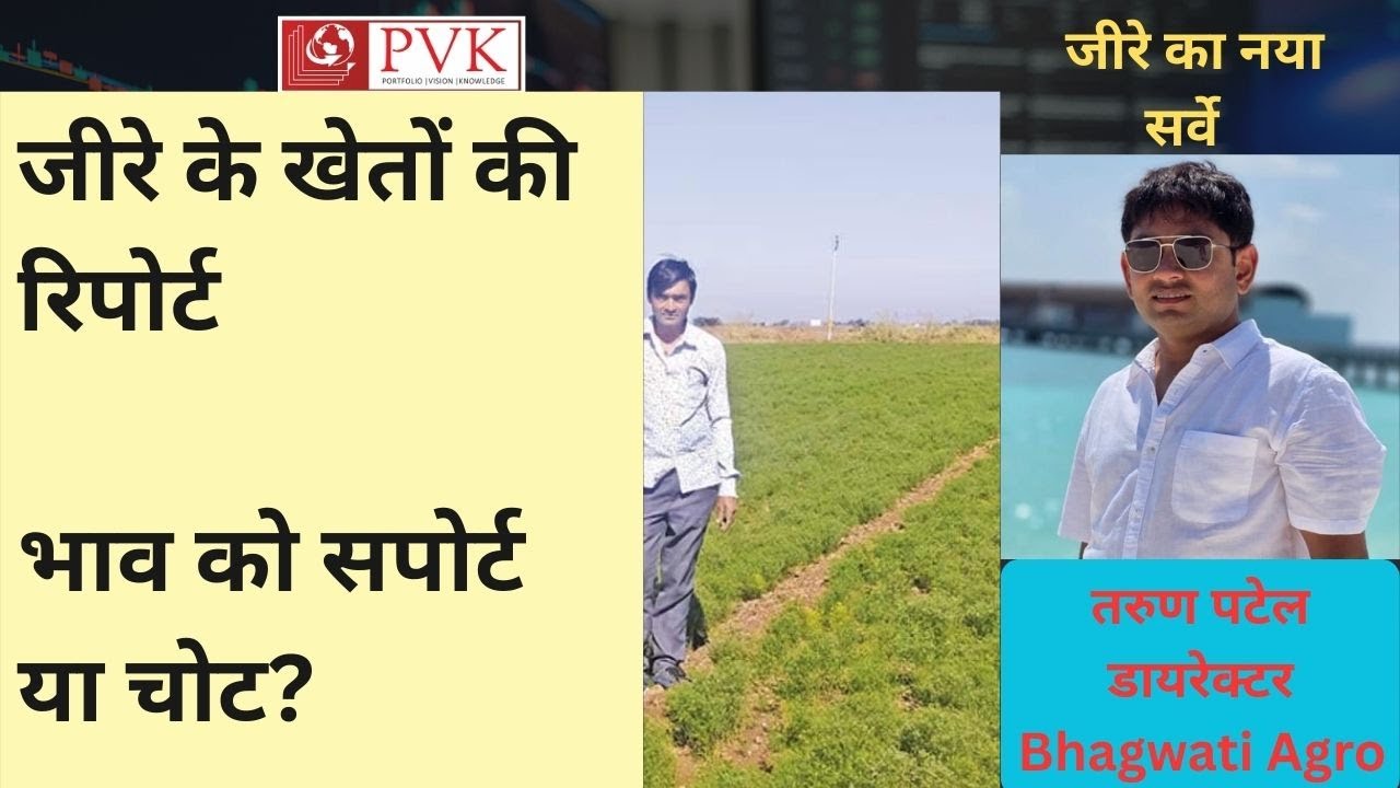 जीरे का नया सर्वे