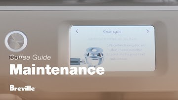 The Oracle® Touch | Cleaning your machine: how to perform a ’Clean cycle’ | Breville USA