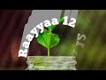 Raayyaa Abbaa Maccaa 12 Raayyaa Abbaa Maccaa 12
