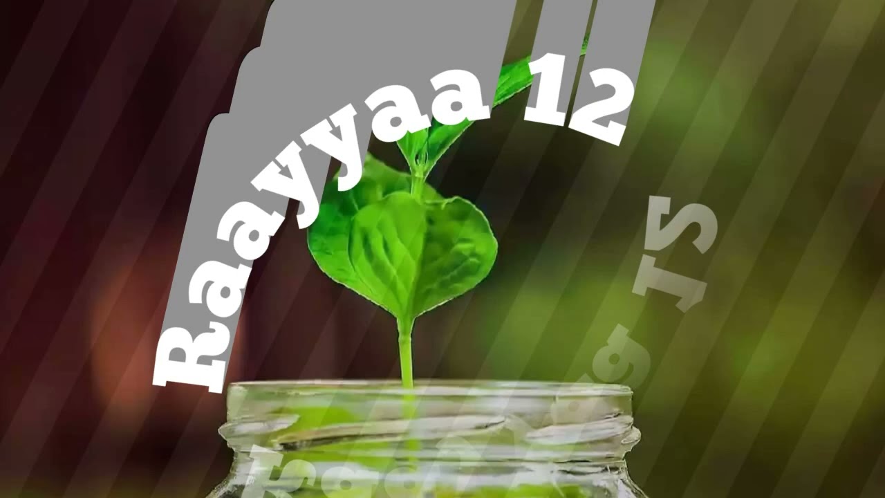 Raayyaa abbaa maccaa 12