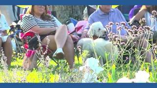 Knoxville faith leaders bless animals