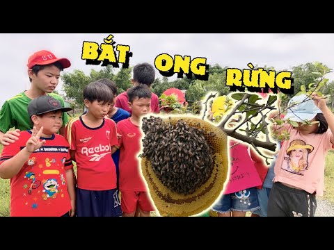 Video Anh Ba Phải | Đi Săn Tổ Ong Ruồi - Thử Thách Ăn Mật... - youtube