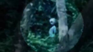 The Super Amazing Project - Alien spotted in Brazil rainforest!