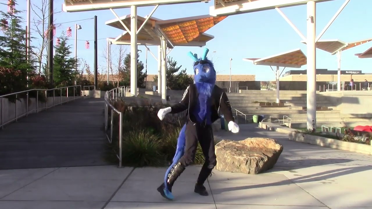 Angel Fish - Fursuit Dance