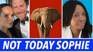 BREAKING Prince Harry Pulls Funding - SENTEBALE Lost Donation More Royal News