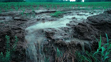 What does the Clean Water Act protect?