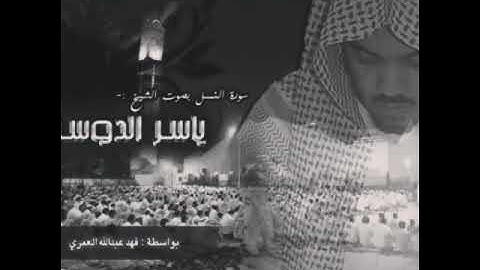 سورة النمل مقطع قصة ملكة سبأ 👑