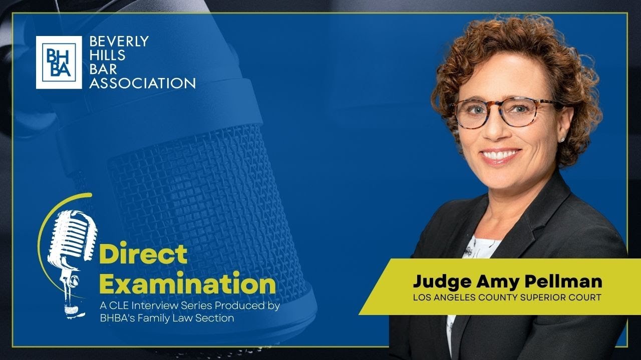 Judge Amy Pellman/Direct Examination