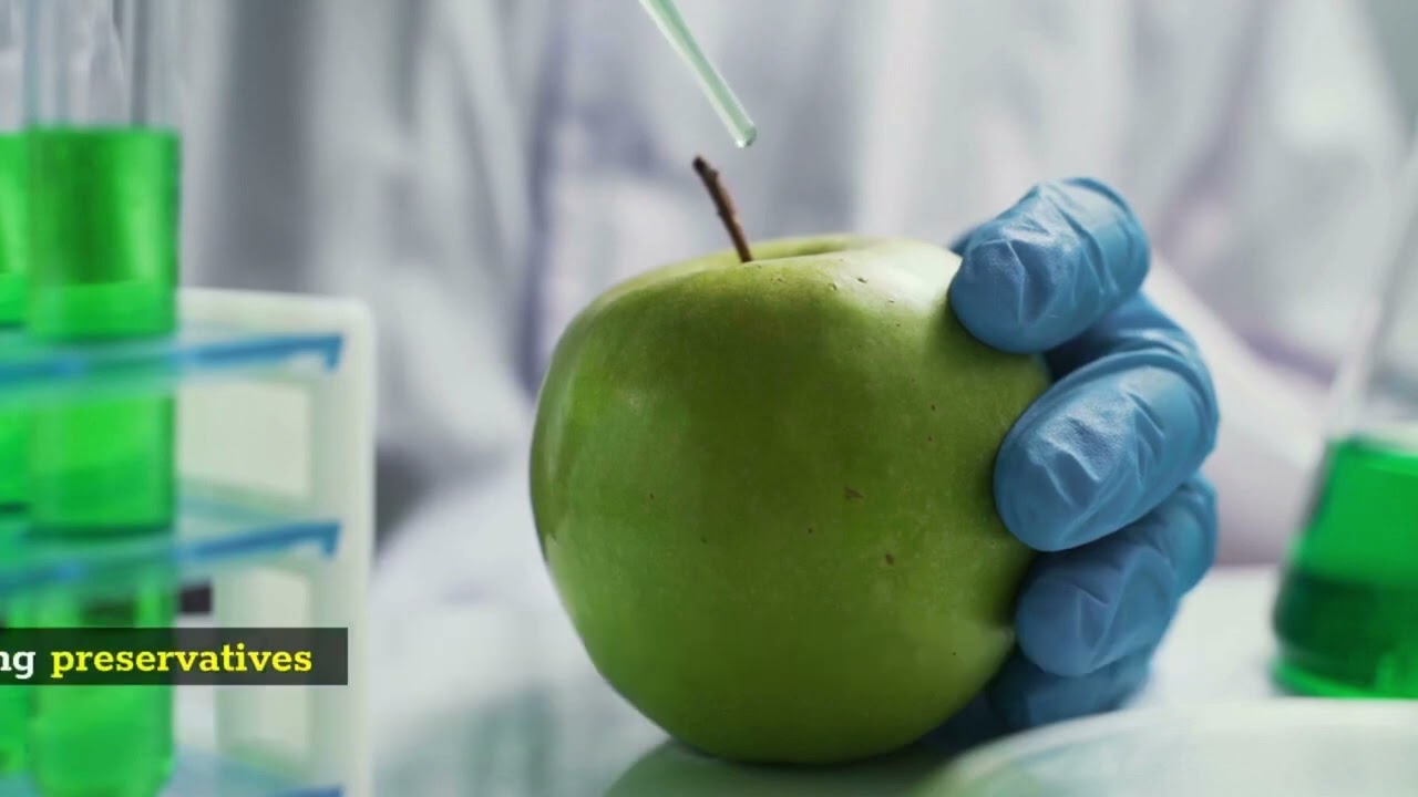 SynoGut supplement what you need to know. ℹ️💊💊🤨🤨 