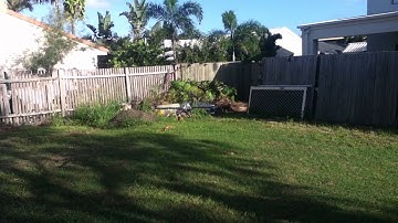 Quadcopter Maiden flight