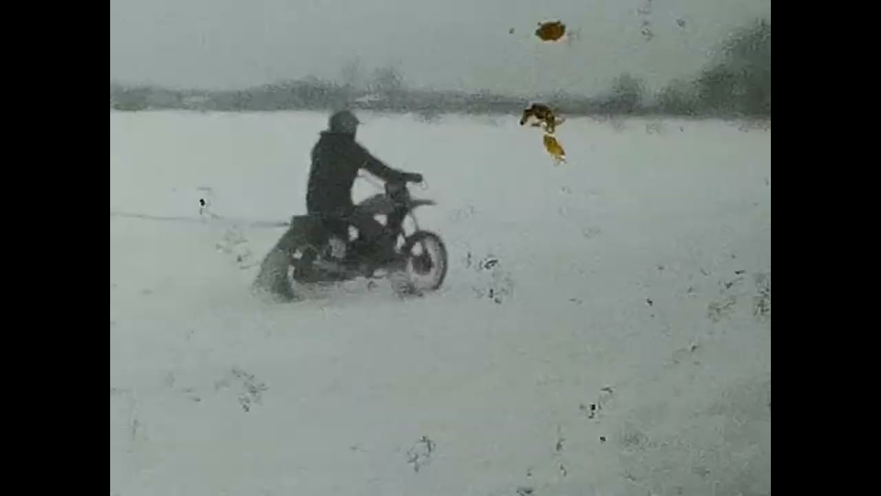 Skijorings Lielvārde 1985. gada 2. febtuāris