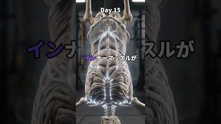 もしも30日間、毎日逆立ちを続けるとどうなるのか?