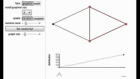 Network Motifs and Graphlets