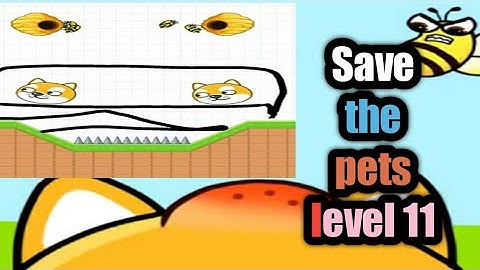 save the pets level 11 walkthrough Solution gameplay