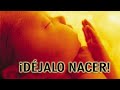 ¡¡¡IMPRESIONANTE!!! El vídeo más triste del mundo tienes que verlo ¡¡¡URGENTE!!!