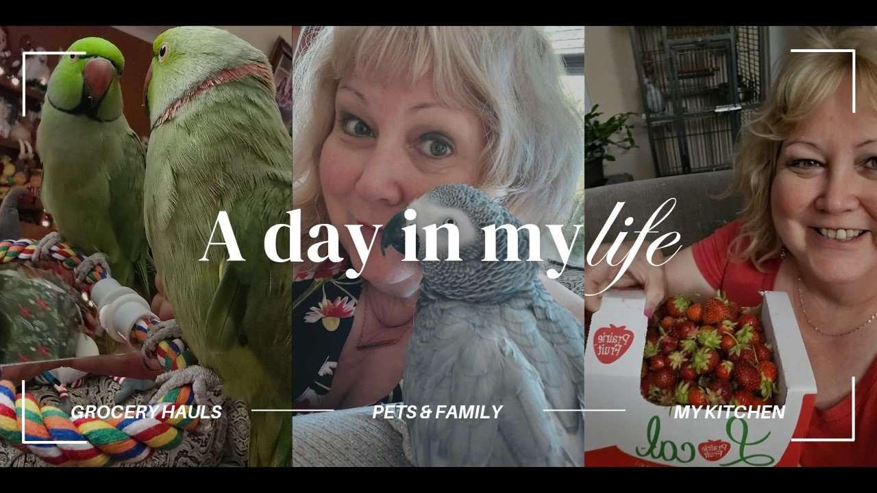 A Small Glimpse Into My Life and Activities - Always Something Happening!