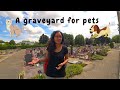 Visiting a pet cemetery in france how the french remember their departed pets 