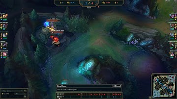 Udyr visual bug