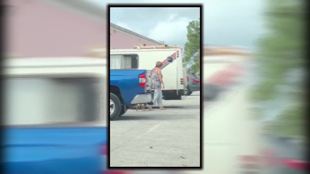 Woman faces animal cruelty charges after viral video - YouTube