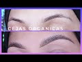 PASO A PASO CEJAS ORGANICAS FACIL CON GOMA - cejas perfectas nueva tendencia
