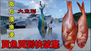 【宜蘭景點】南方澳漁港｜買魚買到快破產｜秋冬季節盛產魚種 ... 