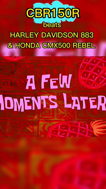 CBR 150CC VS HARLEY 800CC VS REBEL 500CC #cbr150r #cbr #harleydavidson #hondarebel500 #shorts