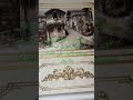 تخفيضات ورق الحائط ثري دي الرويعي العتبه 