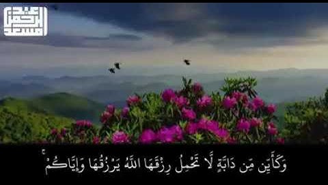 حالات واتس اب قرآن - تلاوة هادئة بصوت 🎤 القارئ عبدالرحمن مسعد.. سورة العنكبوت