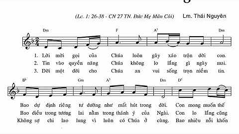 Tâm Tình Xin Vâng || Lm. Thái Nguyên ( Hiệp Lễ CN IV MVB, Đức Mẹ Mân Côi, Vô Nhiễm Nguyên Tội )