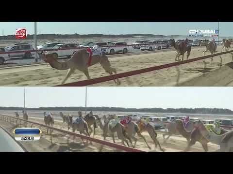 ش 4 بندقية عناب ل أحمد مطر ماجد الخييلي 8 50 8 مهرجان ولي عهد دبي 2025 1 26 ايذاع المرموم