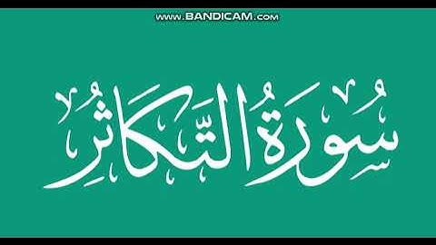 سورة التكاثر بصوت القارئ سعد الغامدي