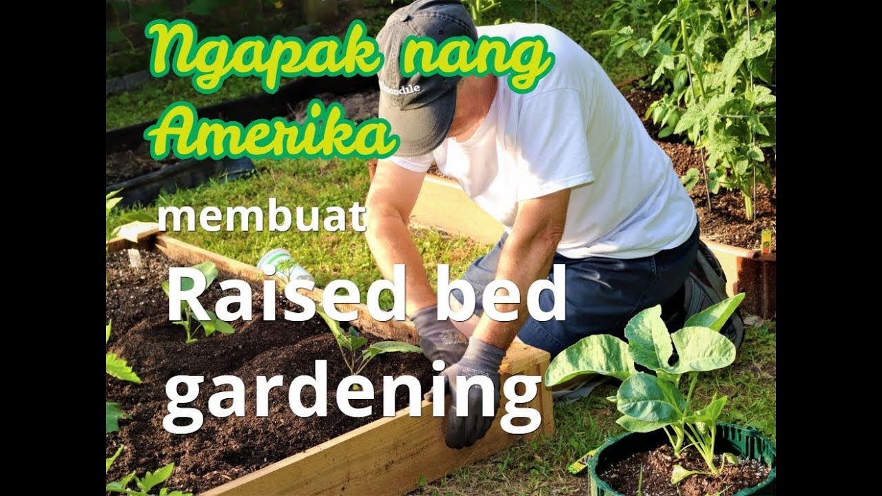 How To Make Raised Bed Vegetable Membuat Raised Bed Di Halaman 