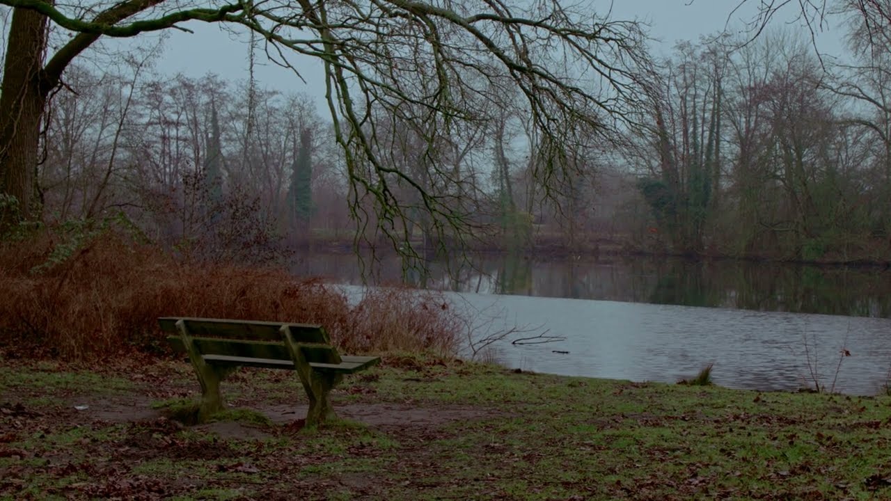 Deventer, Netherlands | Canon EOS R50V | moody vibes