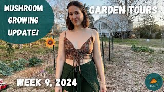 New raised beds, and a BIG project coming soon | Garden Tour WEEK 9, 2024