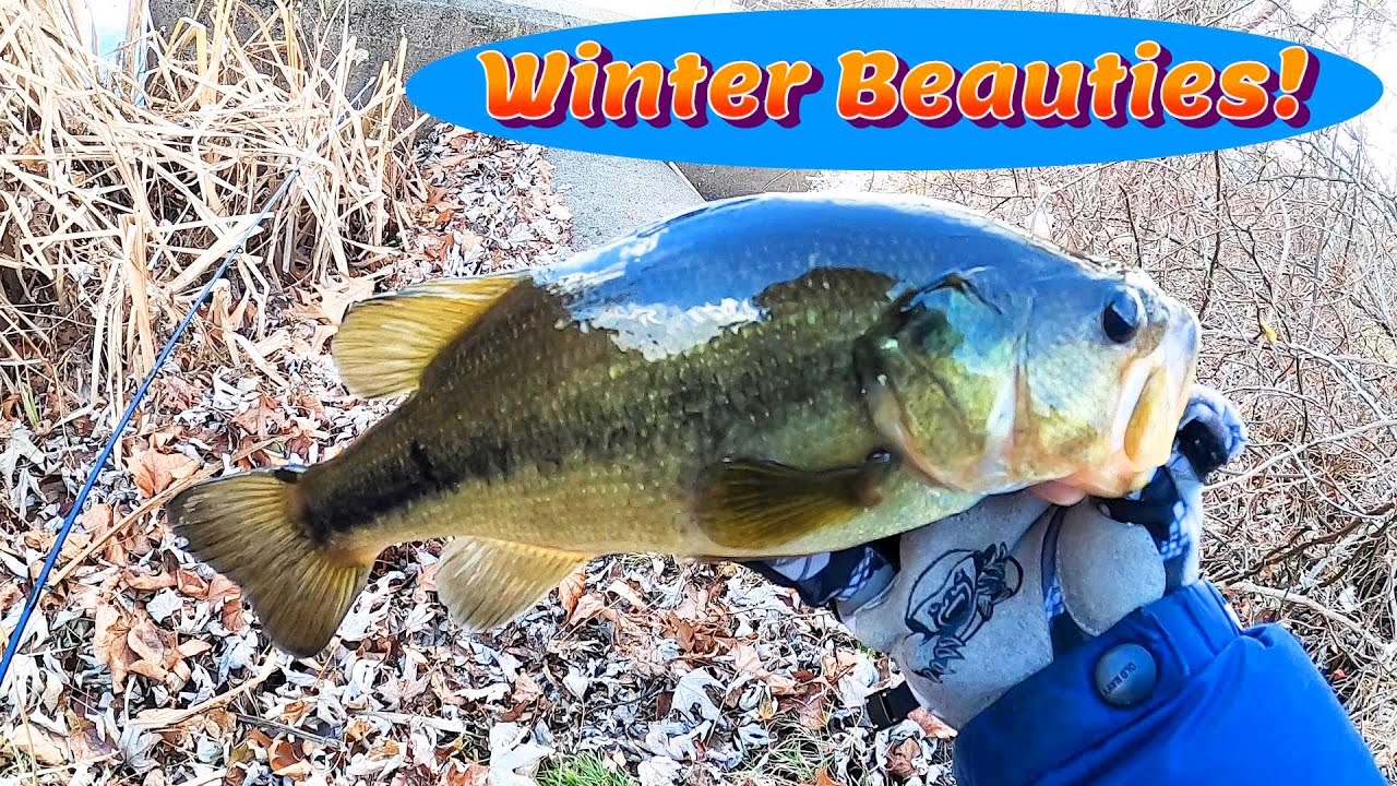 Winter fishing bass and pickerel cold and windy conditions