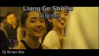 Liang Ge Shi Jie  兩個世界 Two Word (Canon in D) Remix By Dj Brian Bie Tiktok Song Hot Popular Douyin
