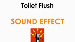 Toilet Flush Sound Effect ♪