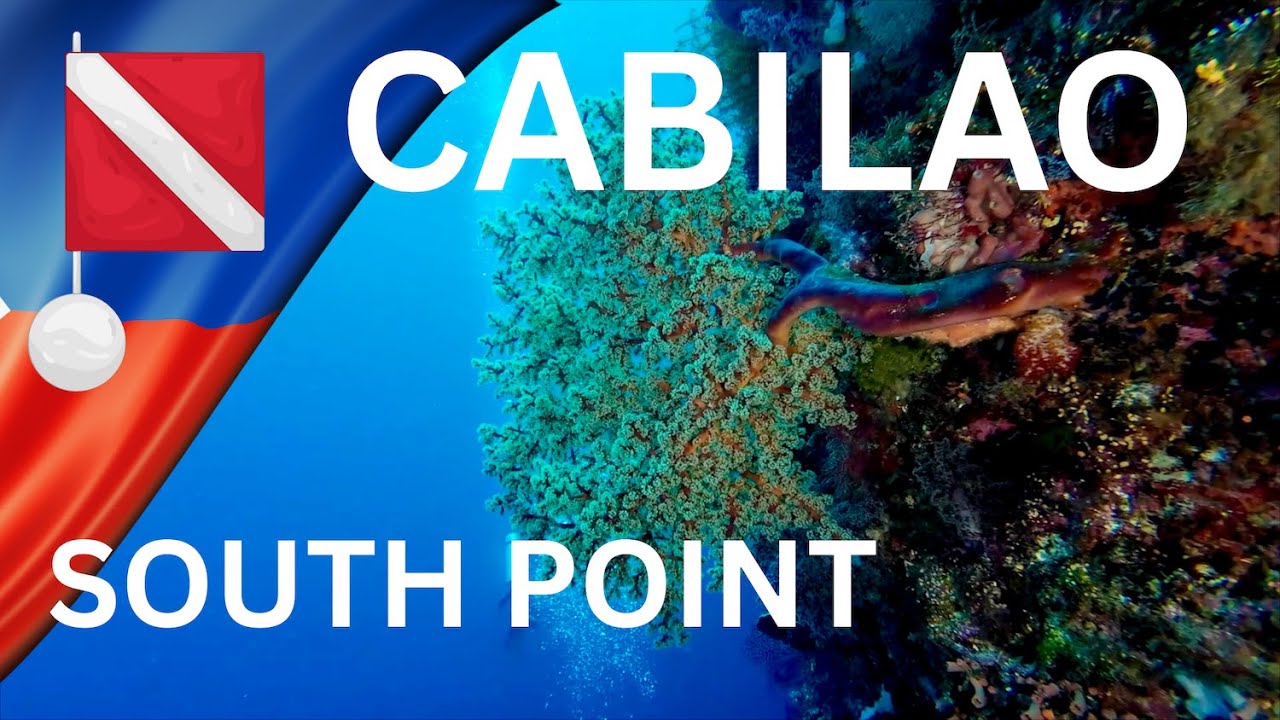 Cabilao Island Bohol Philippines - South Point Big Wall Diving