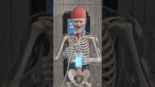 👉 What If Oxygen Was Not Free? 💀🌫️ #facts #edit #horrorstories  #mindset #ghost