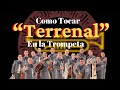 Como tocar “Terrenal” en la Trompeta