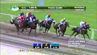 Reunion N°116 Fecha 19/12/2012, Carrera N�1