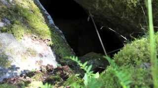 MONSTER of the WOODS sasquatch caves